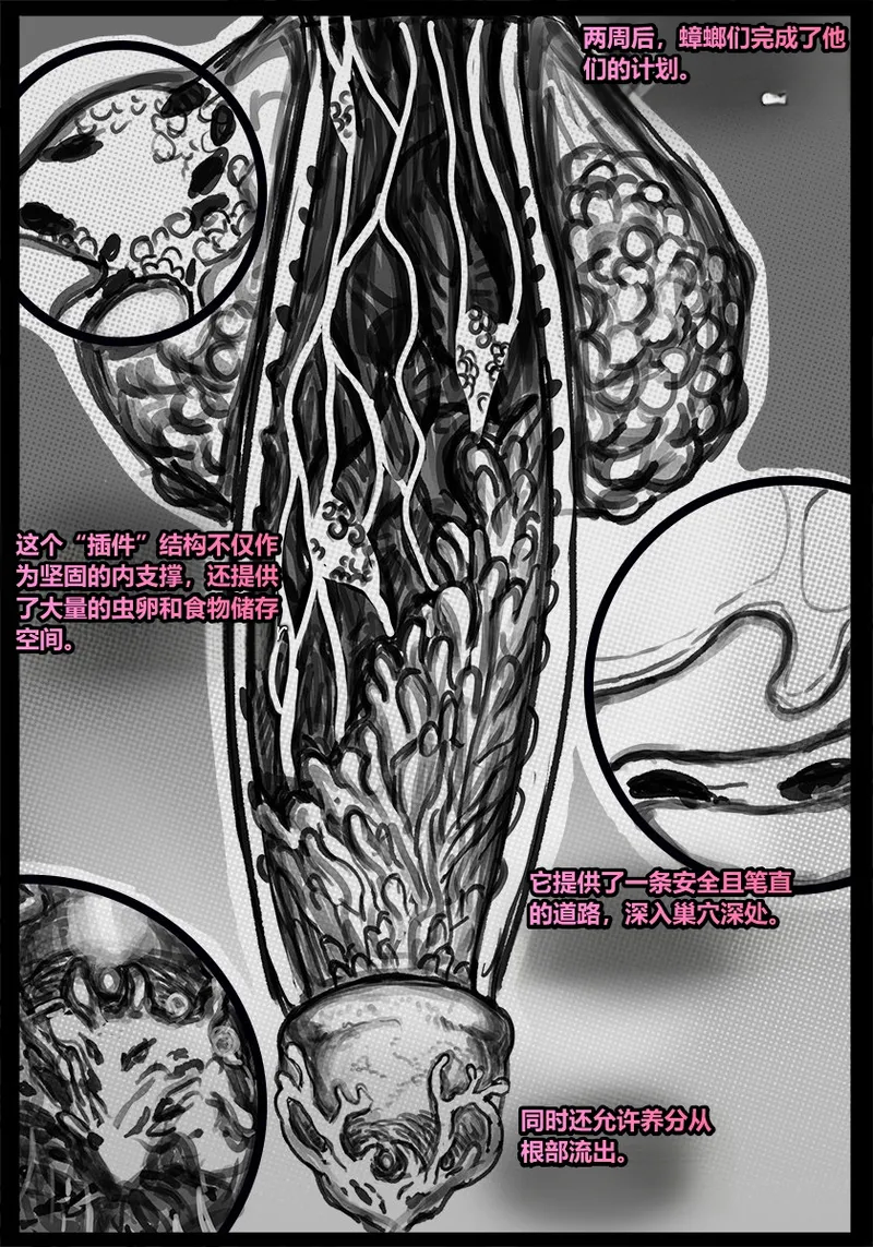 Manga Page 55