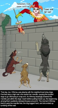 Gallery Cover