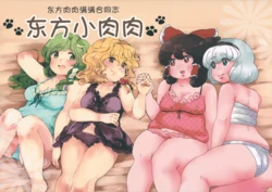 (C80) [Mogumogu (Various)] Touhou Muchimuchi Goudoushi Touhou Oniku | 东方肉肉满满合同志 东方小肉肉 (Touhou Project) [白杨汉化组] [中文翻译]