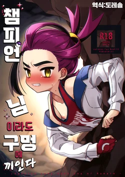 (Challenger! 29) [PORYGON137 (Hidari Pory5n)] Champion-sama Demo Ana ni Hamaru | 챔피언 님이라도 구멍에 끼인다 (Pokémon Scarlet and Violet) [Korean] [도레솔]