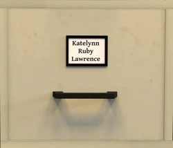 Gallery Cover