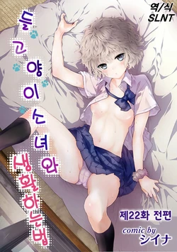 Gallery Cover