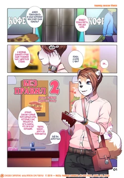 Gallery Cover
