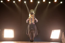 Gallery Cover