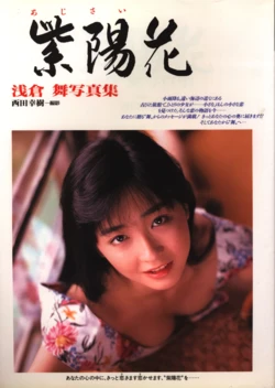 Gallery Cover