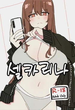 Gallery Cover