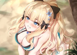 Gallery Cover