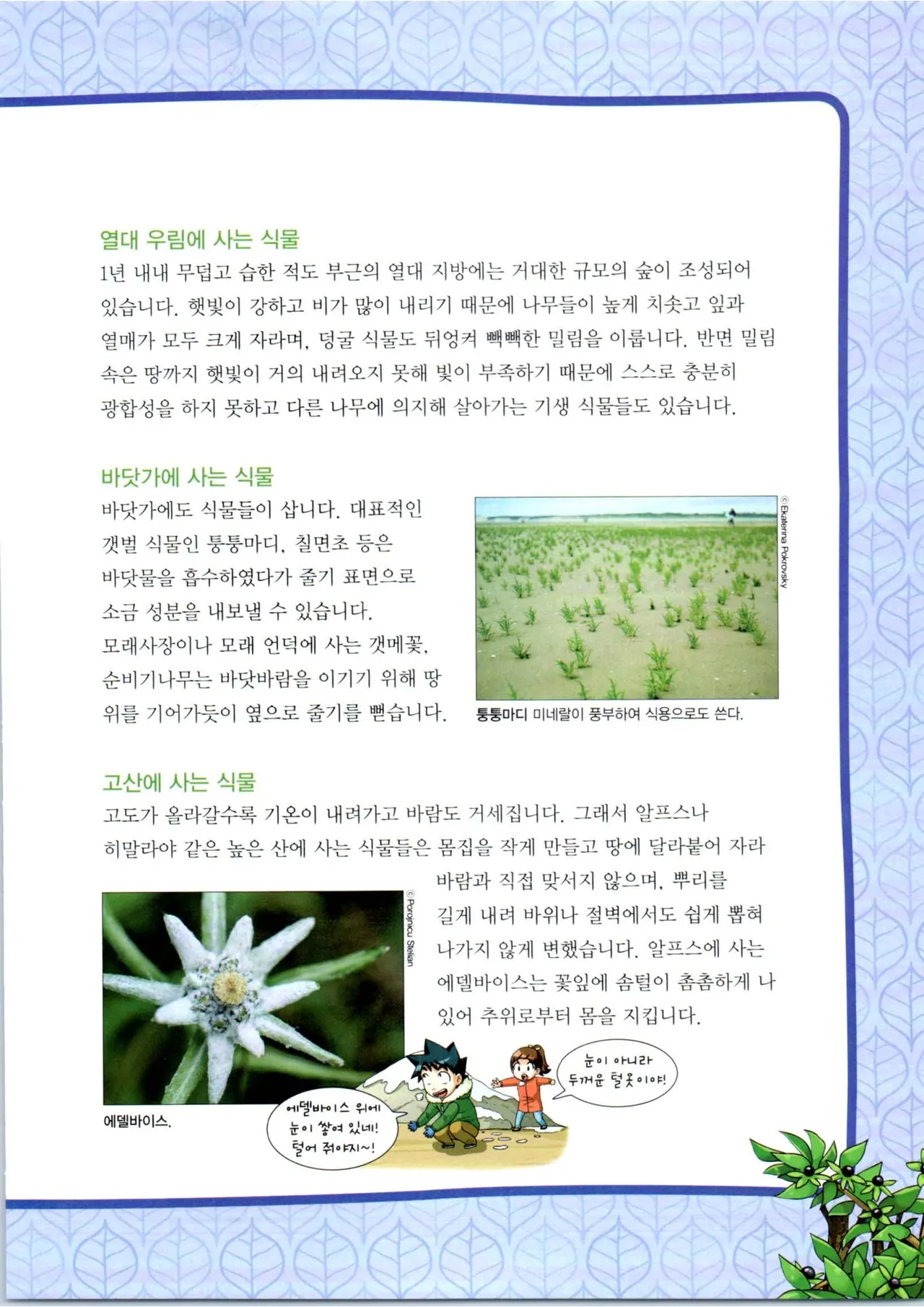 Manga Page 253