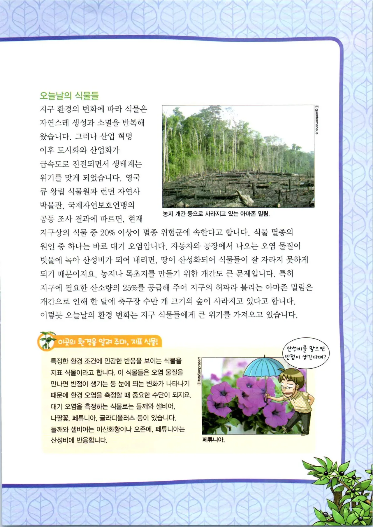 Manga Page 305
