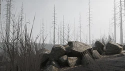Gallery Cover