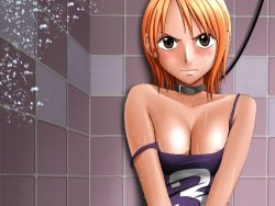 Gallery Cover