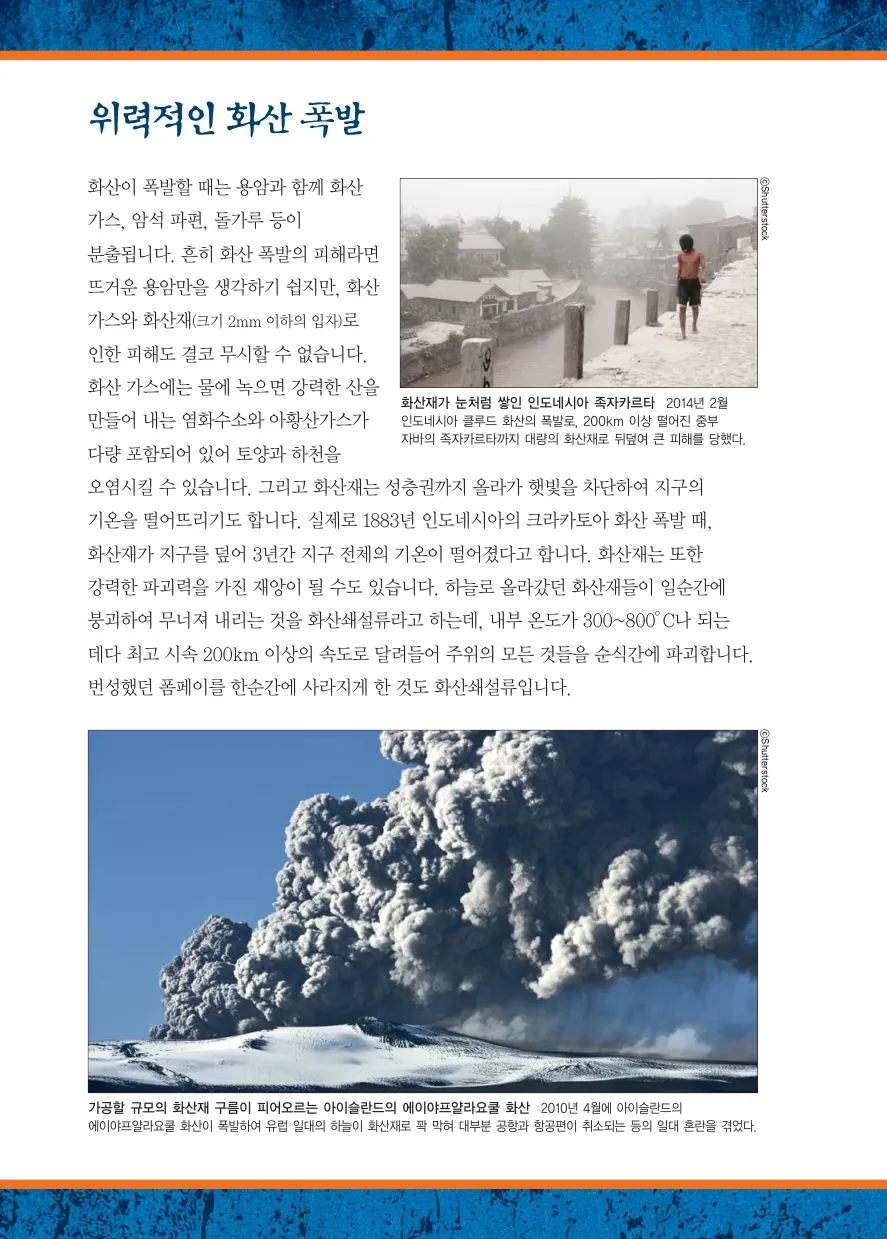 Manga Page 256