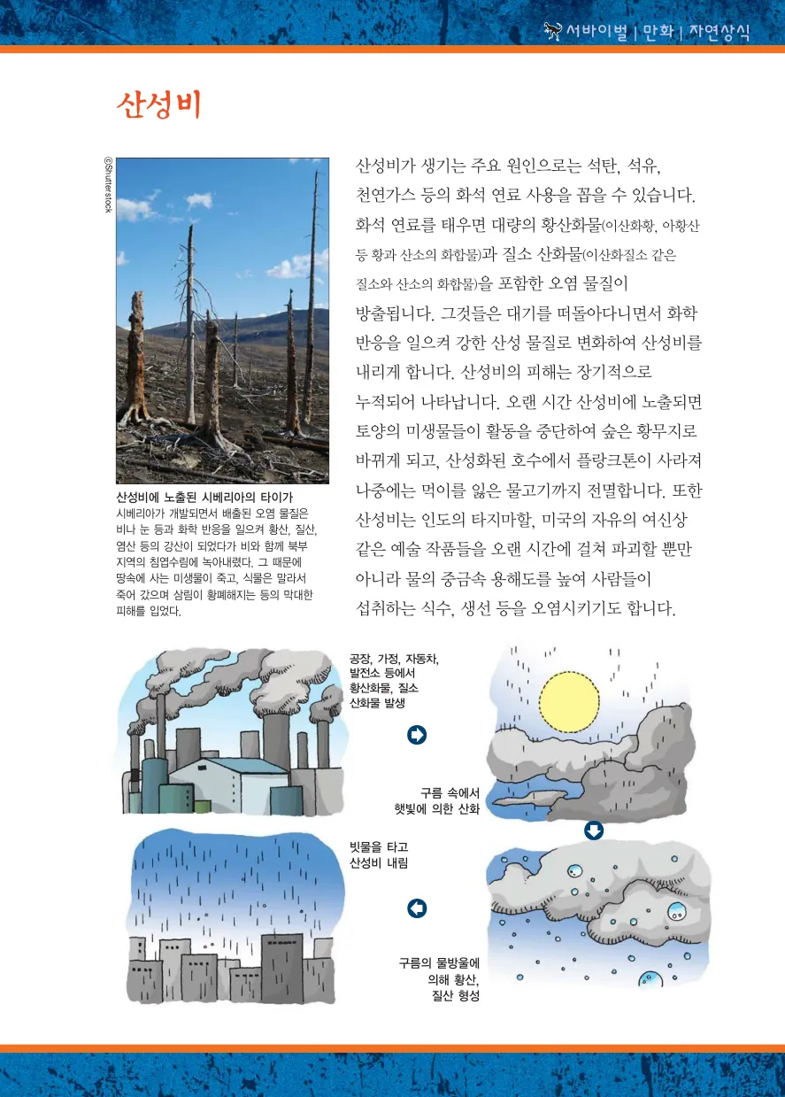 Manga Page 257