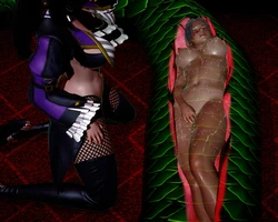Gallery Cover