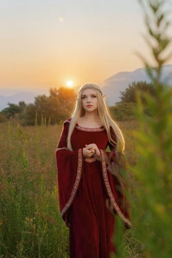 Gallery Cover