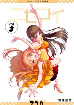 Gallery Cover