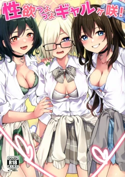 Gallery Cover