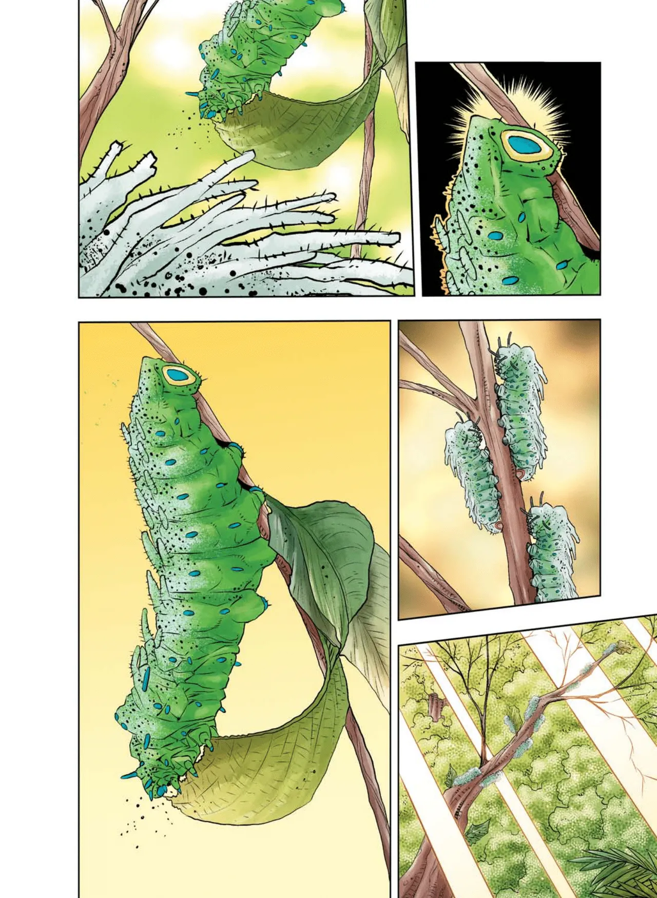 Manga Page 833