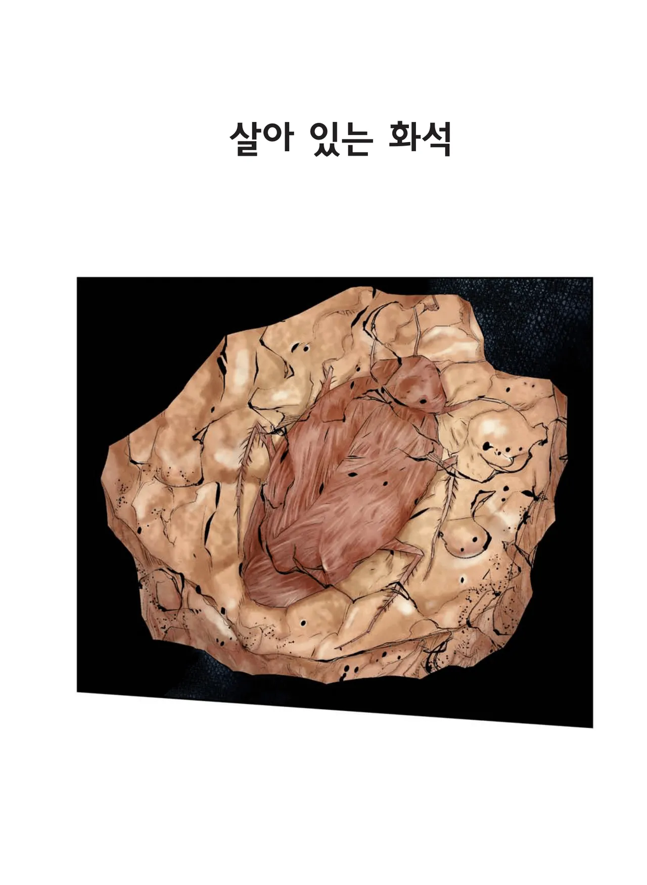 Manga Page 955