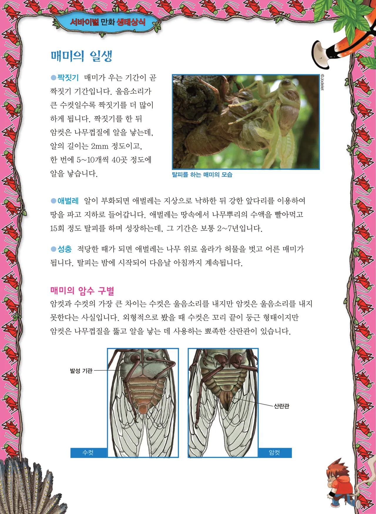 Manga Page 1224