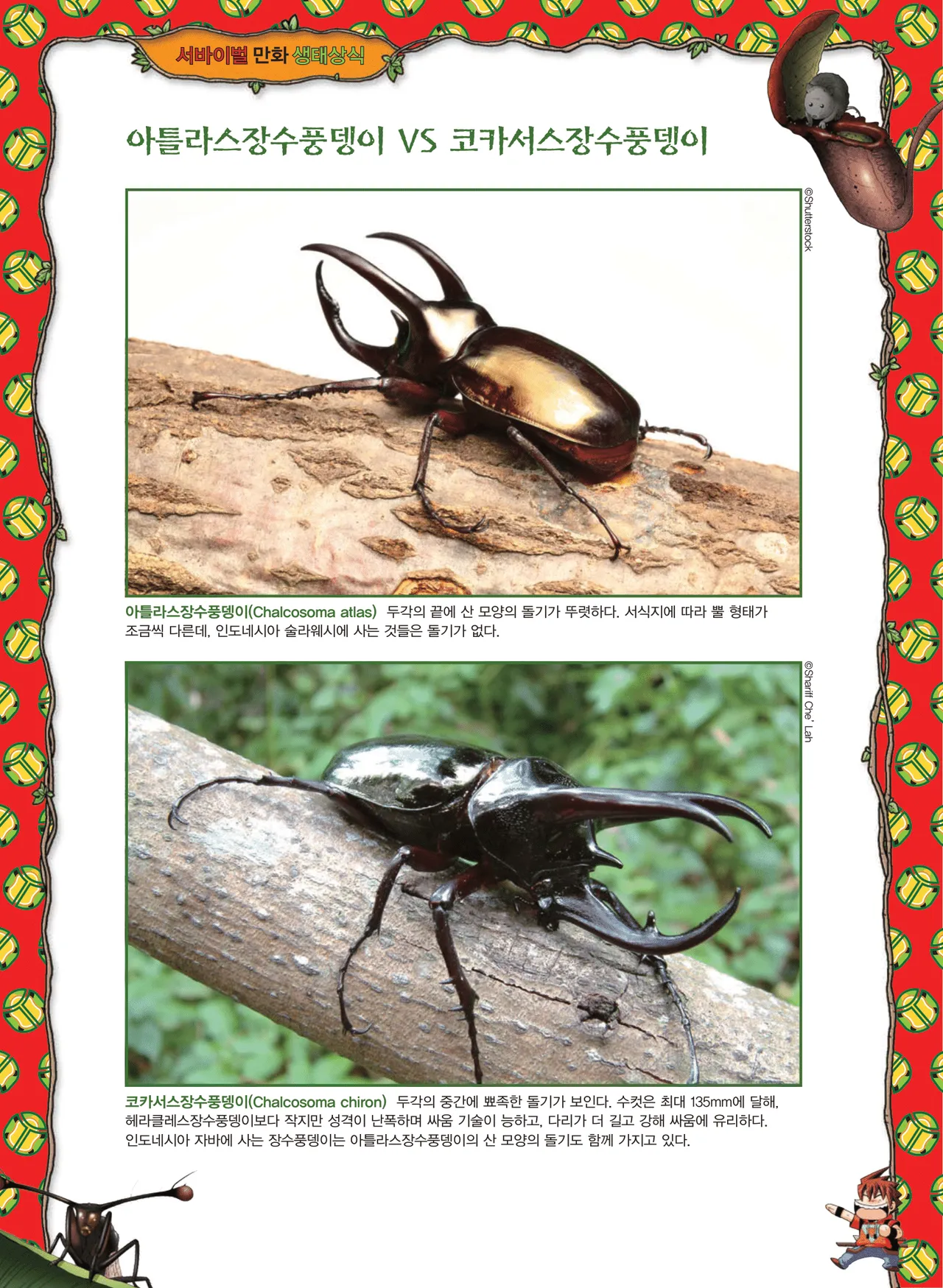 Manga Page 1295