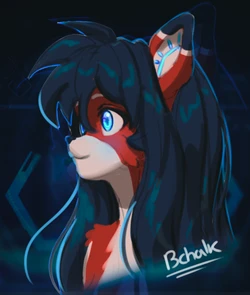 Gallery Cover