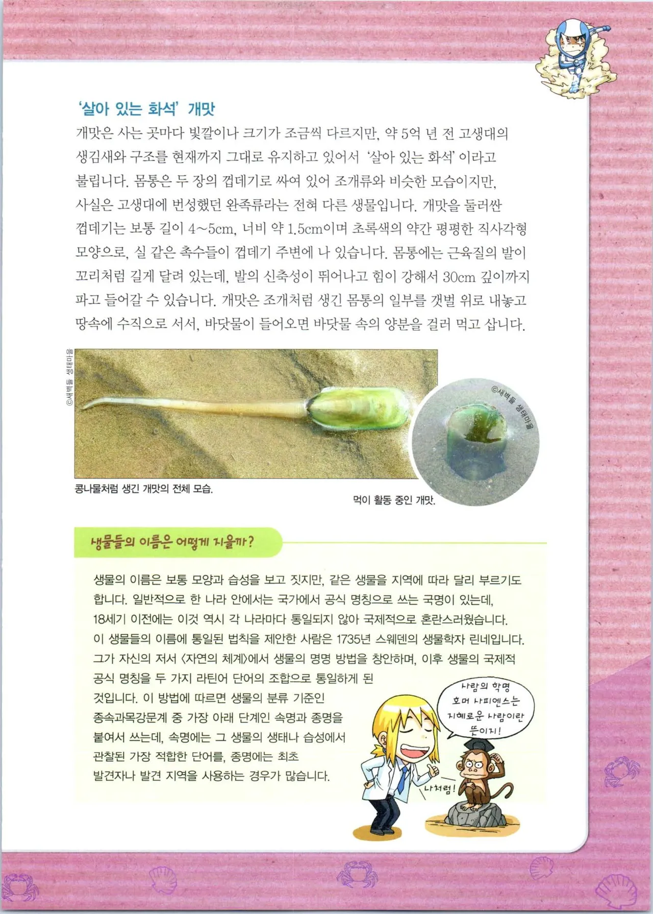 Manga Page 261