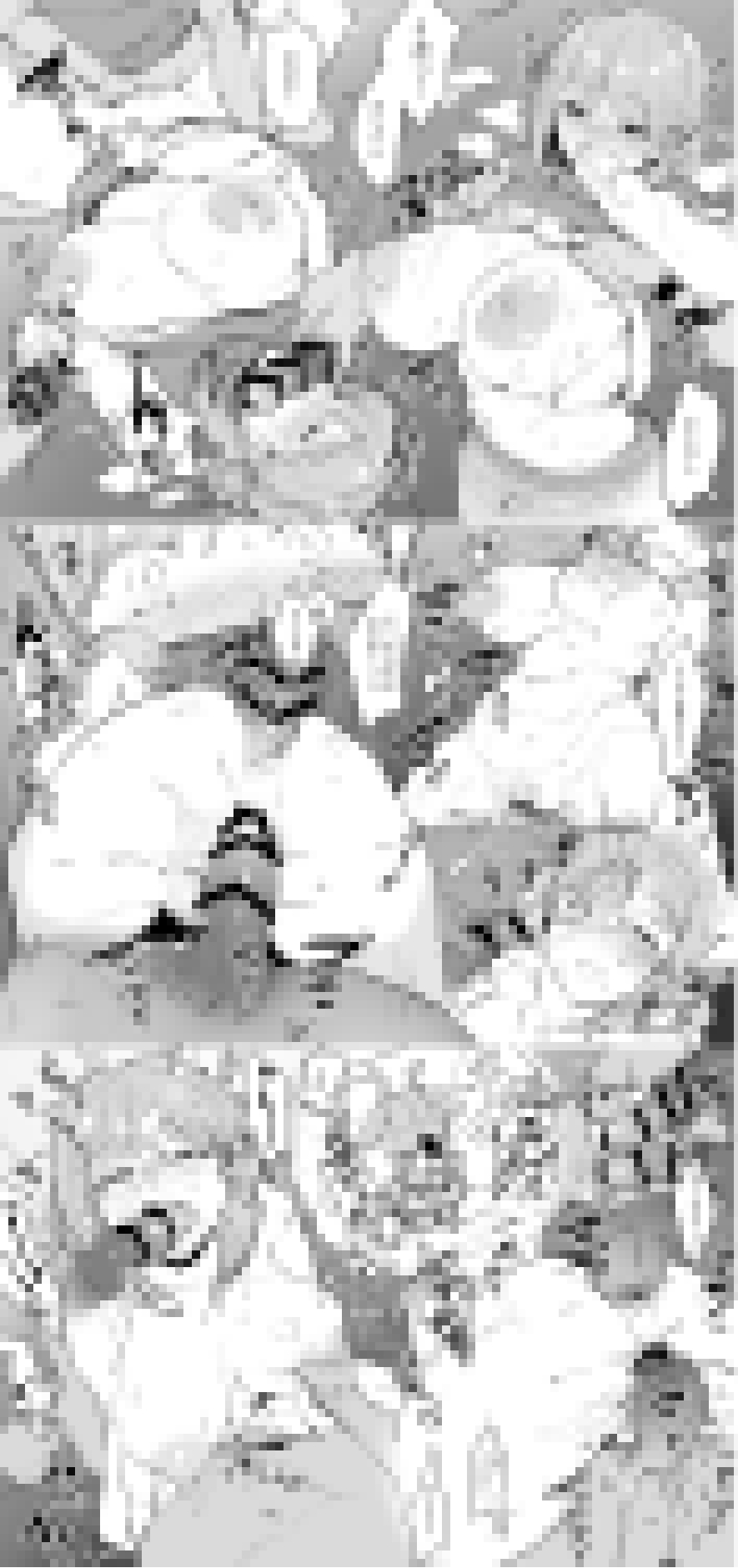 Manga Page 665