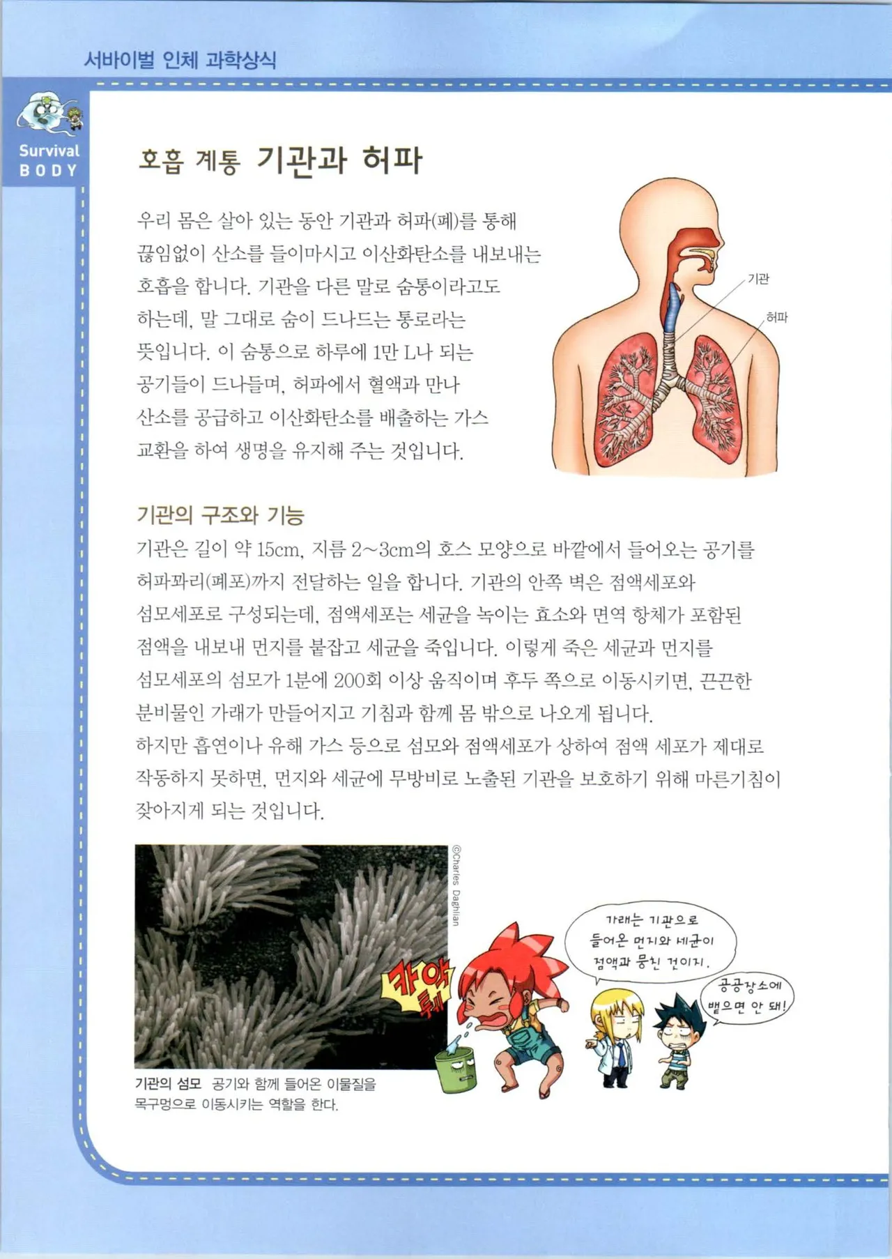 Manga Page 264