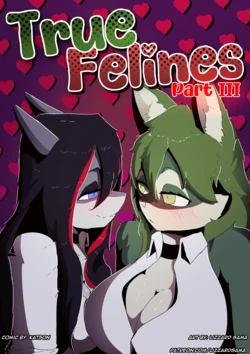 Gallery Cover