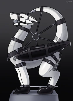 Gallery Cover