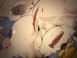 Gallery Cover