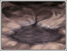 Manga Page 153