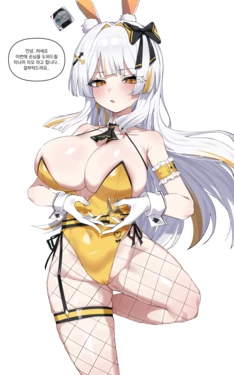 Gallery Cover