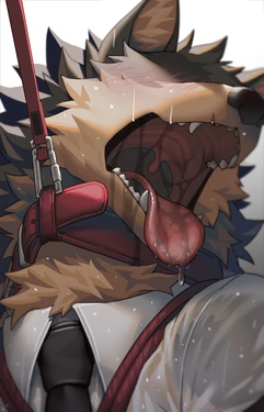Gallery Cover