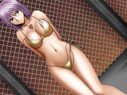 Gallery Cover
