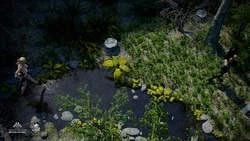 Gallery Cover
