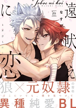 Gallery Cover
