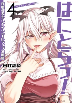 Gallery Cover