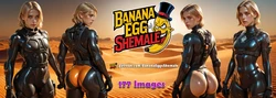 Gallery Cover