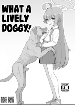 Gallery Cover